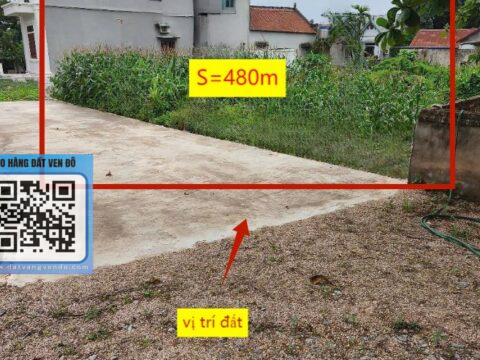BÁN LÔ ĐẤT NỀN TÂN TIẾN – VỊ TRÍ ĐẸP – GIÁ TỐT – S=480M²
