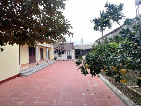 Bán đất Trần Phú Chương Mỹ – Lô Góc 104.5m² Full Thổ Cư – Mặt Tiền 6.8m – Nhà Sẵn Ở, Nở Hậu Hút Lộc!