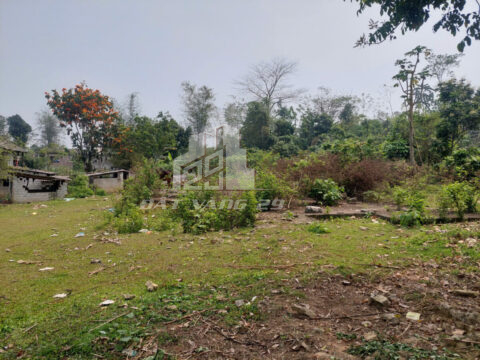 Bán đất Tân Lạc Hòa Bình – 512m² Có 121.9m² Thổ Cư – Bám Trục Chính Đi KDL Ngòi Hoa – View Suối Cực Đẹp!