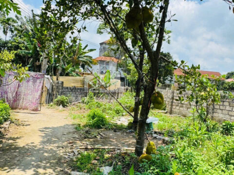 Bán đất Lương Sơn Hòa Bình – Sổ Sẵn Công Chứng Ngay – Cách Trường Cấp 1, Mầm Non, Trạm Y Tế Chỉ 1km!    S=77m2