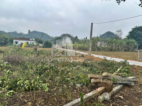 Bán đất Yên Thủy Hòa Bình – Diện Tích 102.2m² – Lô Đất Bằng Phẳng, Gần Khu Trung Tâm, Giao Thông Thuận Lợi!