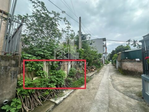 Bán đất Phụng Châu Chương Mỹ – 100m² Vuông Vắn – Đường Ô Tô Tránh – Dân Cư Đông, Tiện Ích Đủ Đầy!