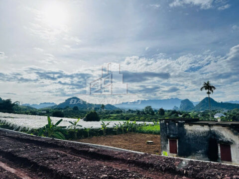 Bán đất Cao Phong Hòa Bình – Lô đất 2.500m² – Mặt tiền rộng, đường liên xã – Cách QL6 chỉ 1.5km