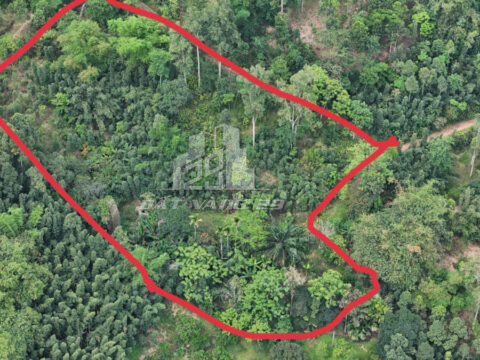 Bán đất Cao Phong Hòa Bình – 12.000m² thoai thoải, xanh mát – Đất đẹp làm khu sinh thái