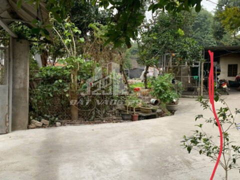 Bán đất phường Thống Nhất Hòa Bình – Lô góc 450m², bám mặt đường 12m – Cách QL6 chỉ 100m