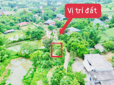 ♻️ Bán Đất Tân Sơn Phú Thọ – 136m² Vuông Vức – Đường Bê Tông Rộng – View Ao Thoáng Mát!