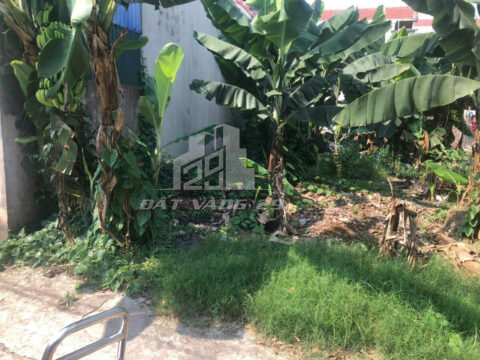 Bán đất Phú Mỹ Biên Giang – 50m² – Vuông vắn – Gần đường lớn, dân cư đông