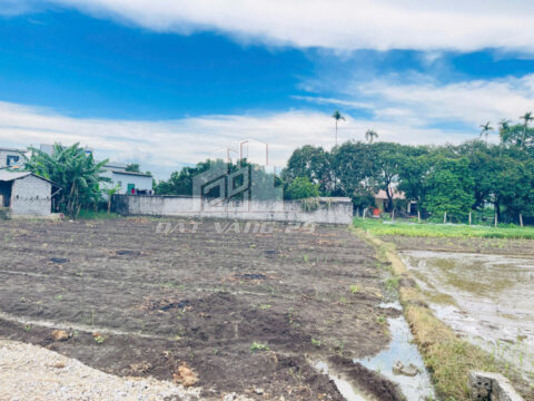 Bán đất Yên Thủy Hòa Bình – 136.5m² full thổ cư – Đường bê tông rộng – Gần trường học