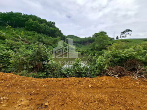 Bán đất nghỉ dưỡng Đồng Thịnh Yên Lập – Hơn 5000m² – Có 100m² thổ cư – View đẹp, thoáng mát