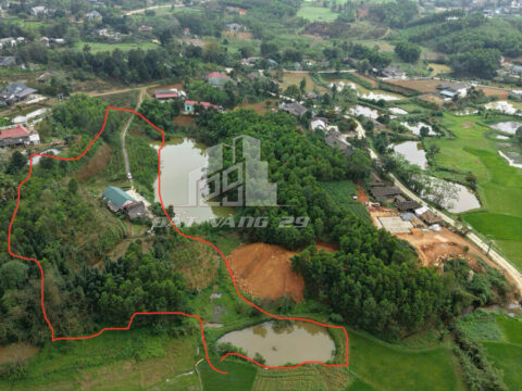 Bán đất nghỉ dưỡng Yên Lập Phú Thọ – 8000m² – Đầy đủ ao cá, nhà gỗ – Pháp lý chuẩn