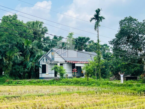 Bán đất Mỹ Lung Yên Lập – 600m² có 100m² thổ cư – Ô tô vào tận nơi – View thoáng mát