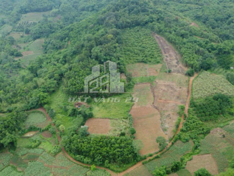 Bán đất lớn Cao Phong Hòa Bình – 40ha – Đường ô tô bao quanh – Sổ sẵn công chứng ngay