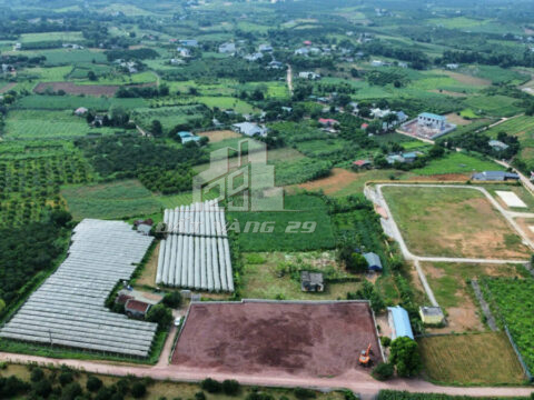 Chính chủ bán đất Cao Phong Hòa Bình – 2500m² vuông vắn – Cách QL6 chỉ 1.5km – Sổ đỏ sẵn