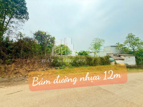 Bán đất Nam Phong Cao Phong – 1974m² có 250m² thổ cư – Bám đường nhựa 12m – Sổ sẵn công chứng ngay