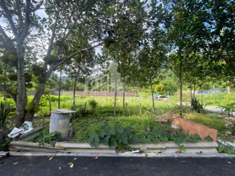 Bán đất Lâm Sơn Lương Sơn – 73m² Full Thổ Cư – Gần Thung Lũng Nữ Hoàng – Cách QL6 chỉ 300m