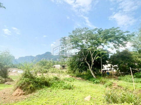 Đất vườn nghỉ dưỡng Tân Lạc Hòa Bình – 2100m² – Bằng phẳng – Cách khu trung tâm chỉ 400m