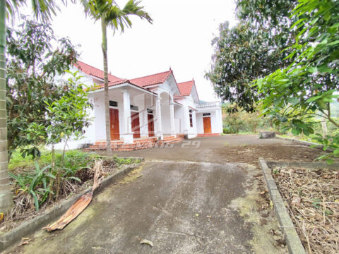 Bán đất Ngọc Đồng Yên Lập – 6500m² có 400m² thổ cư – Sẵn nhà, chuồng trại – Bám cánh đồng