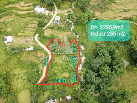 Bán đất Phú Cường Tân Lạc – Gần QL6 – Mặt tiền 50m, hậu bám suối – Thế đất nghỉ dưỡng đẹp!   S=2225.9m2