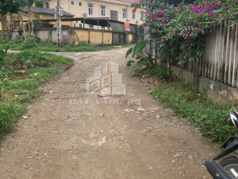 Bán đất Tân Sơn Phú Thọ – 633m² (200m² thổ cư) – Mặt tiền 12m – Gần QL, UBND, trường học