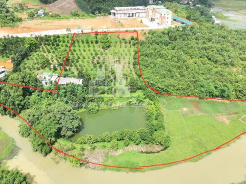 Bán đất Kim Bôi Hòa Bình – 10.000m² (1.500m² thổ cư) – Bám suối 200m – Sổ đỏ rõ ràng!