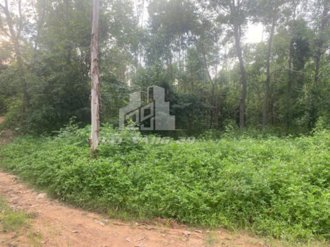 Bán đất Chu Hóa Việt Trì – 200m² full thổ cư – Pháp lý rõ ràng – Sổ sẵn sang tên nhanh