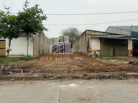 Bán đất KCN Thụy Vân Việt Trì – 203m² full thổ cư – Mặt trục chính – Sổ đỏ sẵn sàng!