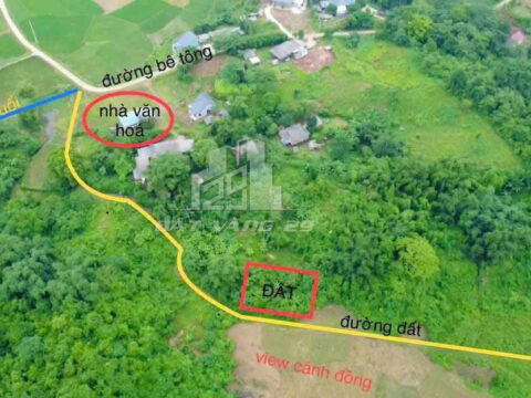 Bán đất Phú Vinh Tân Lạc – 439m² full thổ cư – View cánh đồng thoáng – Sổ đỏ chính chủ