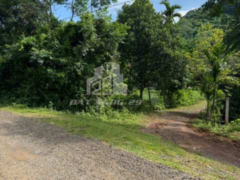 Bán đất Mỹ Hòa Tân Lạc – 2.700m² có 200m² thổ cư – Cách đường nhựa 50m – Lưng tựa núi