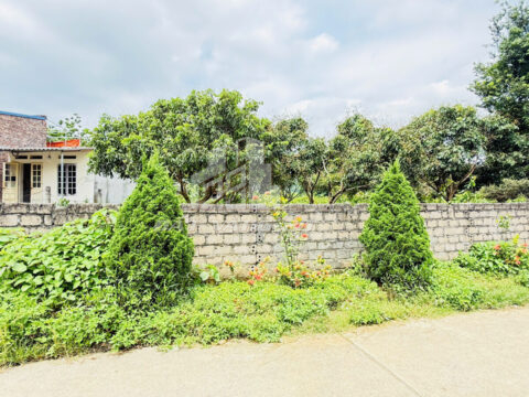 Bán đất Thượng Thanh Cao Lương Sơn – 118,3m² full thổ cư – Gần QL21A – Đường ô tô tránh