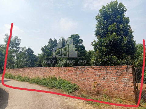 Bán đất Việt Trì Phú Thọ – 100m² full thổ cư – Đường thông thoáng – Gần trung tâm TP