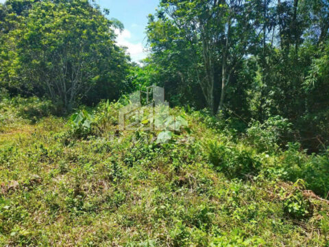 Bán đất Hòa Bình bám suối – 1.100m² – Gần khu công nghiệp – Thích hợp làm homestay