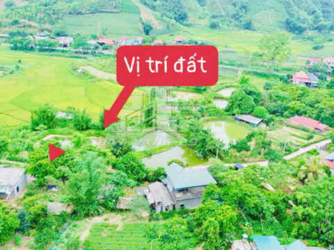 Bán đất Kiệt Sơn Tân Sơn – 136m² full thổ cư – Gần QL32 – Giá tốt thu hồi vốn nhanh