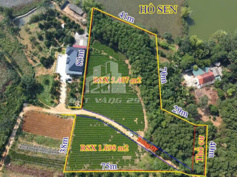 Bán đất Phượng Mao Thanh Thủy – 7.500m² có thổ cư – Bám hồ – View đồi chè cực đẹp