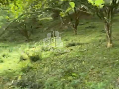 Bán đất Kim Bôi Phú Thọ – 2.200m² – Gần đường liên huyện – Thích hợp làm nhà vườn