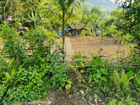 Bán đất Phúc Khánh Yên Lập – 315m² (100m² thổ cư) – Mặt tiền 12m – Bám tỉnh lộ 299