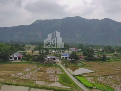 Bán đất Mỹ Lung Yên Lập – 600m² có 100m² thổ cư – View thoáng – Đường ô tô vào tận nơi