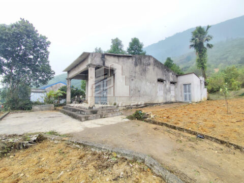 Bán đất Yên Lập Phú Thọ – 520m² có 300m² thổ cư – Lô góc 2 mặt tiền – Có nhà cấp 4