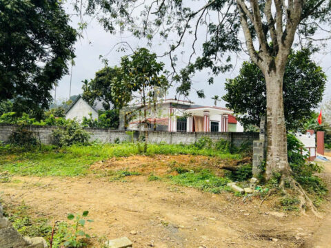 Bán đất Cao Dương Lương Sơn – 82m² gần full thổ – Đường ô tô tránh – Gần trường, UBND