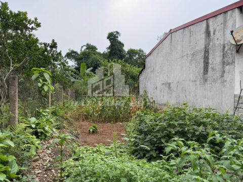 Bán đất Thục Luyện Thanh Sơn – 298m² – Mặt đường QL70B – Gần trung tâm thị trấn