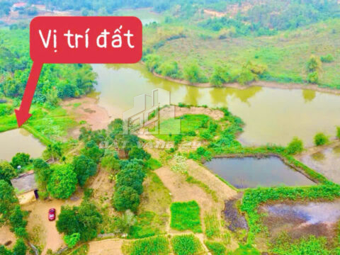 Bán đất Lương Nha Thanh Sơn – Gần 2.000m² – View hồ sinh thái 36ha – Cách đường HCM chỉ 50m
