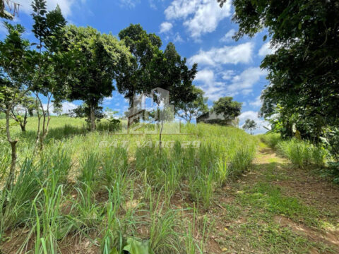 Bán đất Thống Nhất TP Hòa Bình – 4.679m² có 700m² đất ở – View đẹp, giá rẻ nhất khu vực