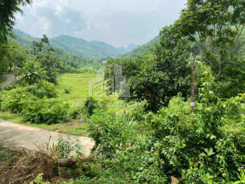 Bán đất xóm Cang TP Hòa Bình – 720m² có 226m² thổ cư – View cánh đồng & suối – Gần trung tâm