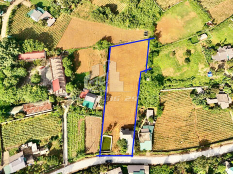Bán đất có nhà sàn Cao Phong – 3000m² có 250m² thổ cư – Bám đường liên xã – Trung tâm xã