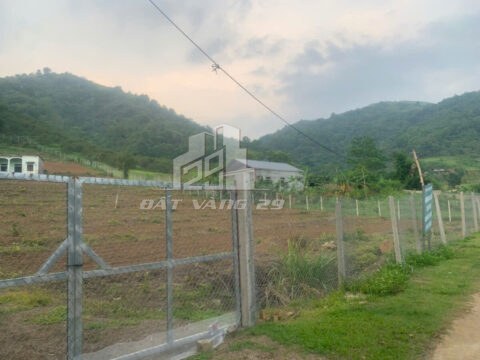 Bán đất Cao Phong Hòa Bình – 7138.7m² có 680m² thổ cư – Đường bê tông rộng – Gần homestay