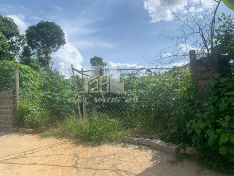 Bán đất thổ cư Hòa Bình – 2000m² – Đã xây tường bao – Cách đường liên xã chỉ 20m