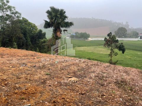 Bán đất Phượng Mao Thanh Thủy – 1621m² – 42m mặt đường – View đẹp, tặng thêm 3 sào ruộng