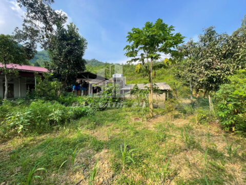 Bán đất nghỉ dưỡng Thanh Sơn Phú Thọ – 3500m² có 400m² thổ cư – Có ao, suối, nhà nhỏ xinh