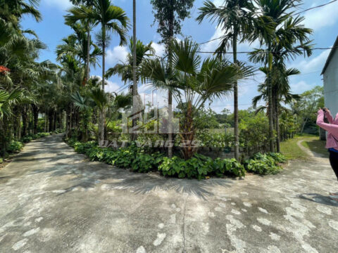 Bán đất Liên Sơn Lương Sơn – 2058m² có 400m² đất ở – Lô góc 3 mặt tiền – Ô tô vào tận nơi