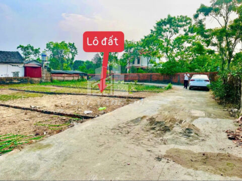 Bán đất Tam Quan Phú Thọ – gần khu du lịch Tây Thiên – 100m² full thổ cư – dân cư hiện hữu