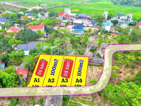 Bán đất Tam Quan Tam Đảo – 100m² full thổ cư  – đường ô tô tải vào tận nơi